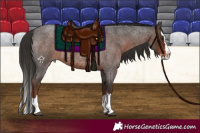 Horse Color:Liver Red Roan Splash 