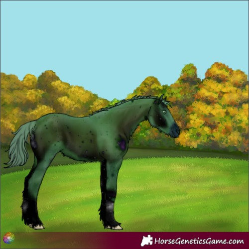 Horse Color:ERROR: UNKNOWN ANOMALY