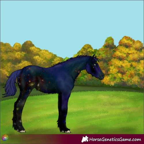 Horse Color:ERROR: UNKNOWN ANOMALY