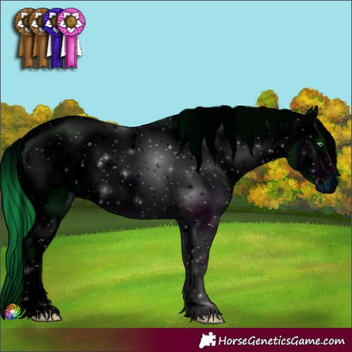 Horse Color:ERROR: UNKNOWN ANOMALY