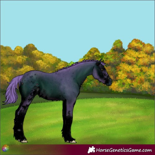 Horse Color:ERROR: UNKNOWN ANOMALY