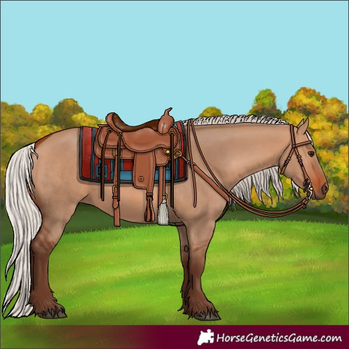 Horse Color:Silver Bay Dun