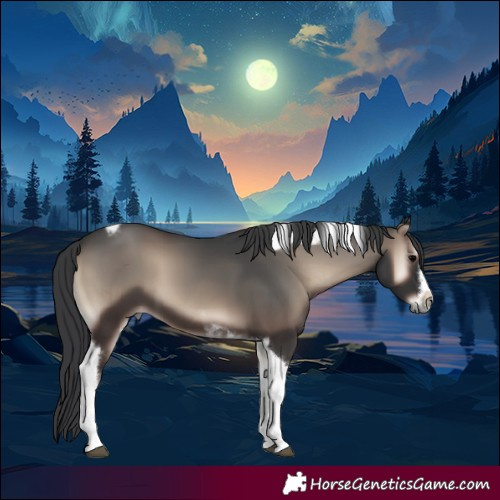 Horse Color:Blue Onyx Tobiano Frame 