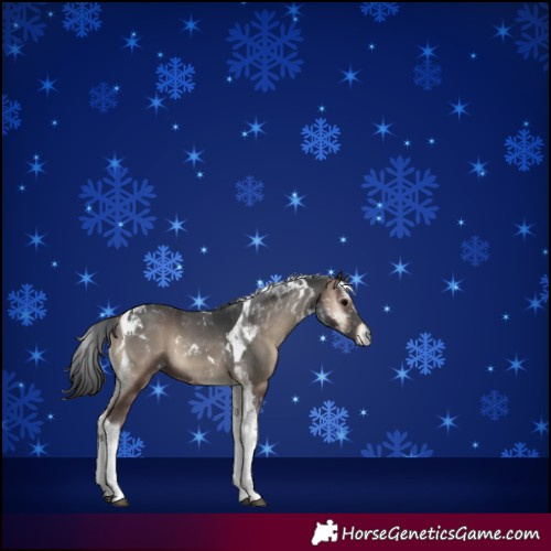 Horse Color:Blue Onyx Tobiano 