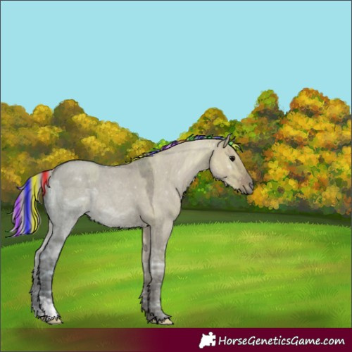 Horse Color:Painted Silver Grullo Ice Roan 