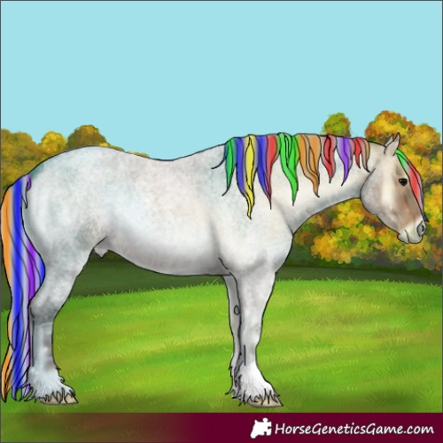 Horse Color:Painted Silver Brown Ice Roan Onyx 