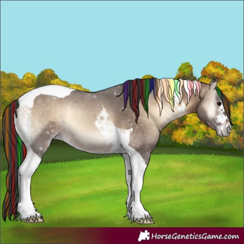 Horse Color:Painted White Spotted Brown Onyx Tobiano 