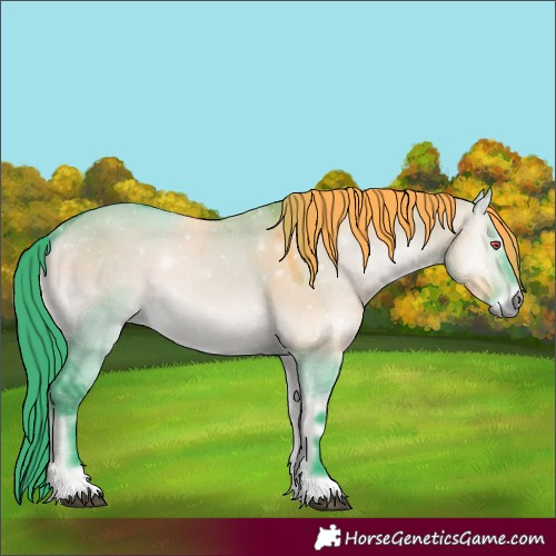 Horse Color:Watercolor Bay Chinchilla Onyx 