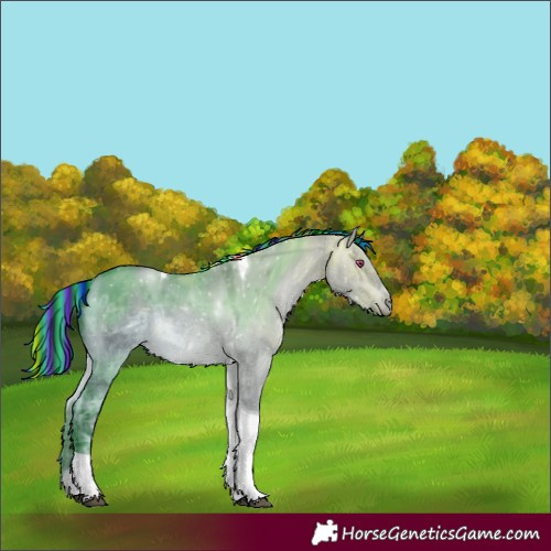 Horse Color:Painted Brown Chinchilla Ice Dun Tobiano 