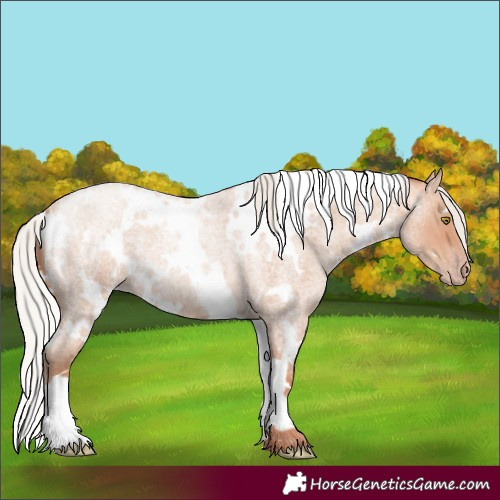 Horse Color:White Spotted Silver Amber Champagne Roan 