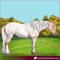 Horse Color:White Spotted Silver Amber Champagne Roan 