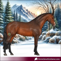 Horse Color:Bay Rabicano  and Bay Frame Rabicano 