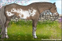Horse Color:Chocolate Palomino Frame 