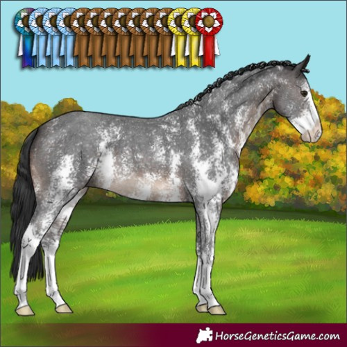 Horse Color:Brown Sabino 