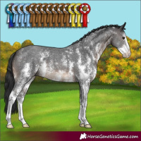 Horse Color:Brown Sabino 