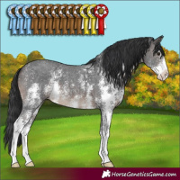 Horse Color:Brown Sabino 