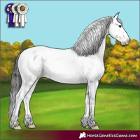 Horse Color:Brown Sabino Splash Blanket