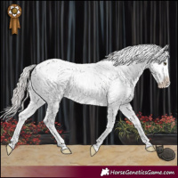 Horse Color:Silver Brown Sabino Splash Varnish 