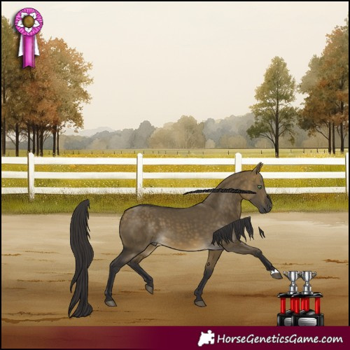 Horse Color:Buckskin Dun 