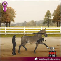 Horse Color:Buckskin Dun 