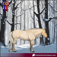 Horse Color:Silver Buckskin Roan 