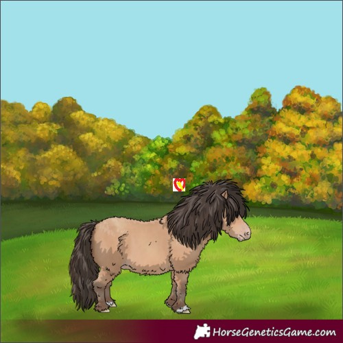 Horse Color:Amber Champagne 