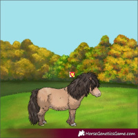 Horse Color:Amber Champagne 