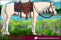 Horse Color:Palomino Pearl