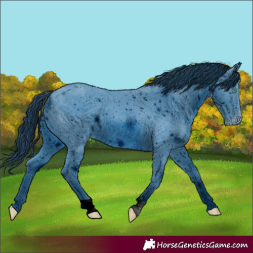 Horse Color:ERROR: UNKNOWN ANOMALY