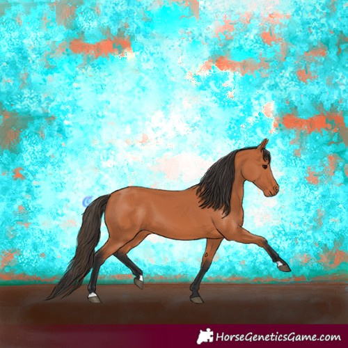 Horse Color:Bay 