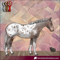 Horse Color:Silver Brown Tobiano Near Leopard Rabicano 