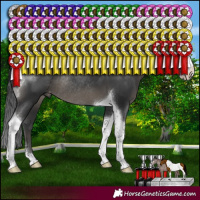 Horse Color:Black Sabino Tobiano Blanket Rabicano