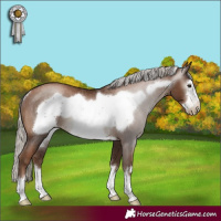 Horse Color:Gray Silver Black Pearl Frame Rabicano