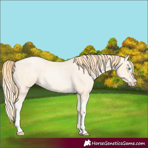 Horse Color:Buckskin Roan Pearl  and Buckskin Roan Pearl Splash 