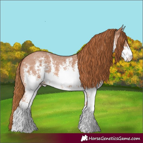 Horse Color:White Spotted Chestnut Sabino Rabicano 