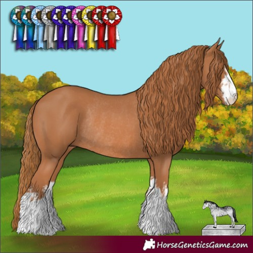 Horse Color:White Spotted Chestnut Rabicano 