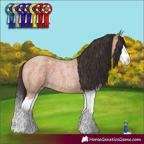 Horse Color:White Spotted Bay Roan Splash 