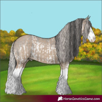 Horse Color:White Spotted Grullo Sabino Splash  and Silver Grullo Sabino Splash 