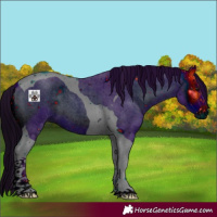 Horse Color:ERROR: UNKNOWN ANOMALY