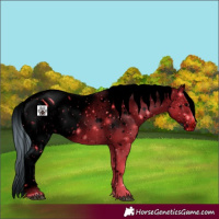 Horse Color:ERROR: UNKNOWN ANOMALY
