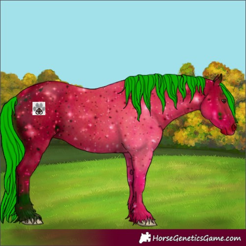 Horse Color:ERROR: UNKNOWN ANOMALY