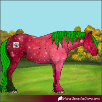 Horse Color:ERROR: UNKNOWN ANOMALY