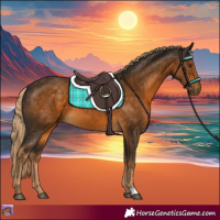 Horse Color:Chocolate Palomino 