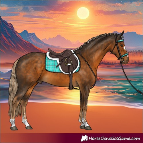 Horse Color:Chocolate Palomino