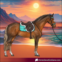 Horse Color:Chocolate Palomino 