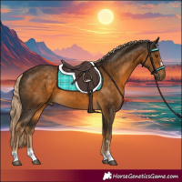 Horse Color:Chocolate Palomino 