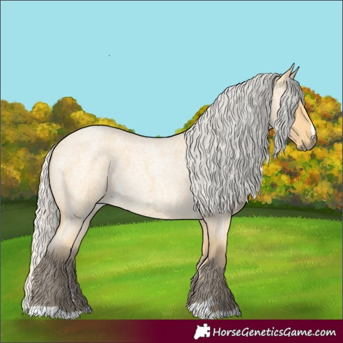 Horse Color:Silver Buckskin Roan 
