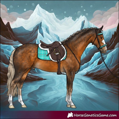 Horse Color:Chocolate Palomino 