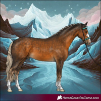 Horse Color:Chocolate Palomino 