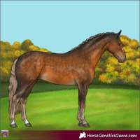 Horse Color:Chocolate Palomino